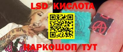 индика Лесосибирск